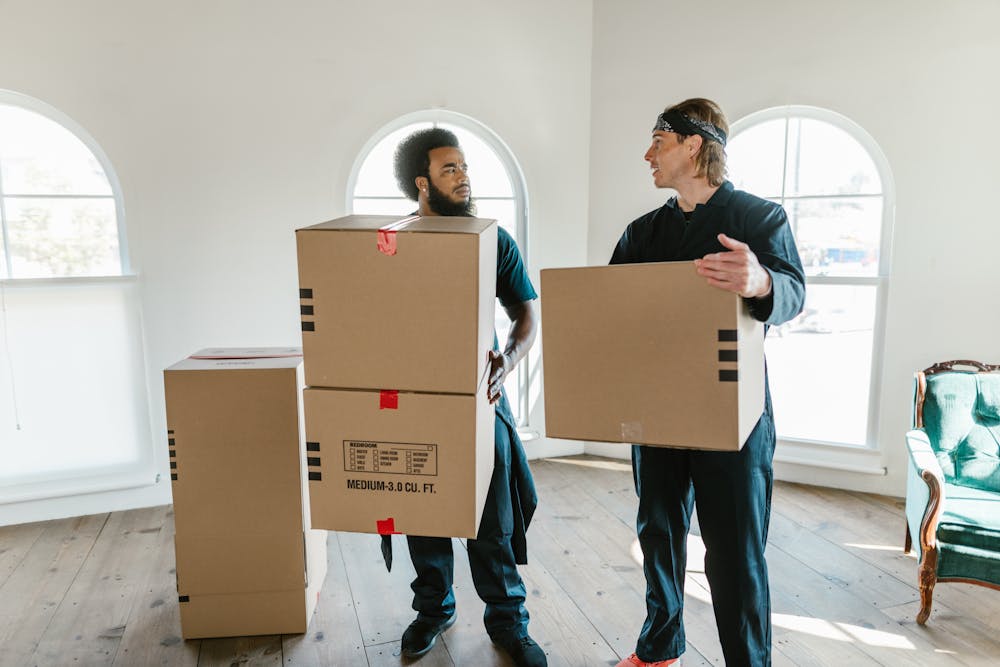 professional movers